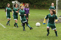 2937 Alligators GU11 112109