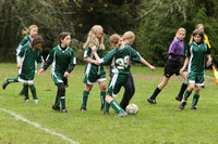 2945 Alligators GU11 112109