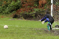 2946 Alligators GU11 112109