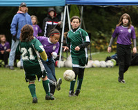 2953 Alligators GU11 112109