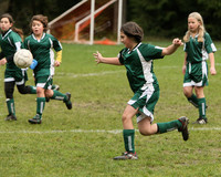 2959 Alligators GU11 112109