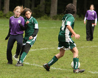 2965 Alligators GU11 112109