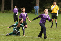 2967 Alligators GU11 112109