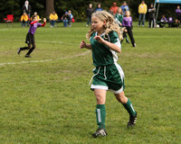 2995 Alligators GU11 112109