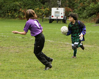 2998 Alligators GU11 112109