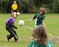 3015 Alligators GU11 112109