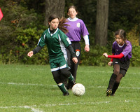 3064 Alligators GU11 112109