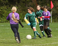 3066 Alligators GU11 112109
