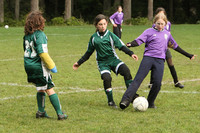 3071 Alligators GU11 112109