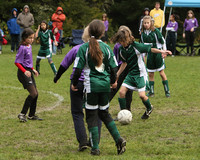 3075 Alligators GU11 112109