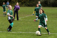 3089 Alligators GU11 112109