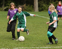 3124 Alligators GU11 112109