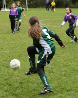 3145 Alligators GU11 112109