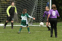 3156 Alligators GU11 112109