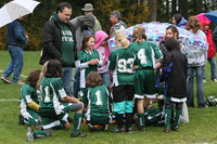 3266 Alligators GU11 112109