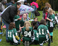 3271 Alligators GU11 112109
