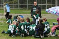 3275 Alligators GU11 112109