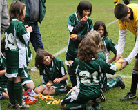 3277 Alligators GU11 112109
