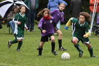 3283 Alligators GU11 112109