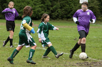 3289 Alligators GU11 112109