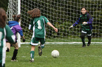 3300 Alligators GU11 112109