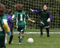 3301 Alligators GU11 112109