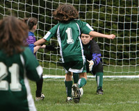 3302 Alligators GU11 112109