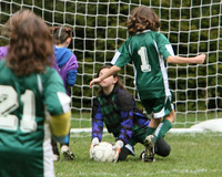 3303 Alligators GU11 112109