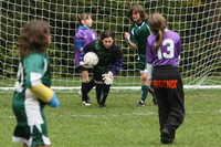 3305 Alligators GU11 112109