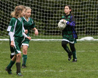 3307 Alligators GU11 112109