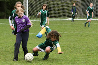 3315 Alligators GU11 112109