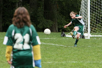 3330 Alligators GU11 112109