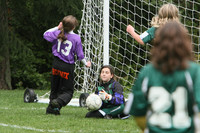 3334 Alligators GU11 112109