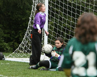 3335 Alligators GU11 112109