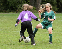 3337 Alligators GU11 112109