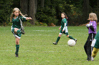 3343 Alligators GU11 112109