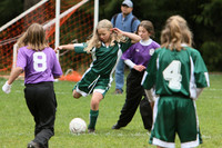 3356 Alligators GU11 112109