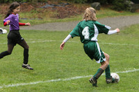 3369 Alligators GU11 112109