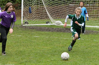 3377 Alligators GU11 112109