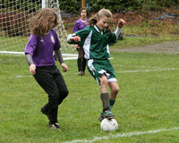 3379 Alligators GU11 112109