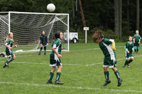 3390 Alligators GU11 112109