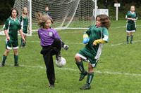 3391 Alligators GU11 112109