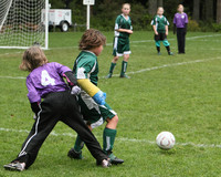 3392 Alligators GU11 112109