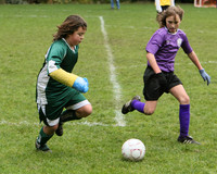 3395 Alligators GU11 112109