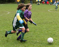 3396 Alligators GU11 112109