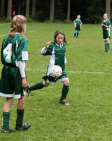 3401 Alligators GU11 112109