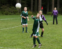 3403 Alligators GU11 112109