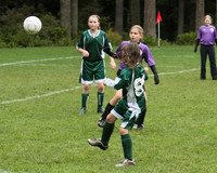 3404 Alligators GU11 112109