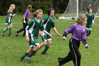 3405 Alligators GU11 112109