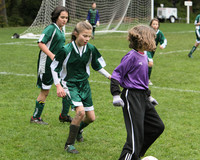 3406 Alligators GU11 112109